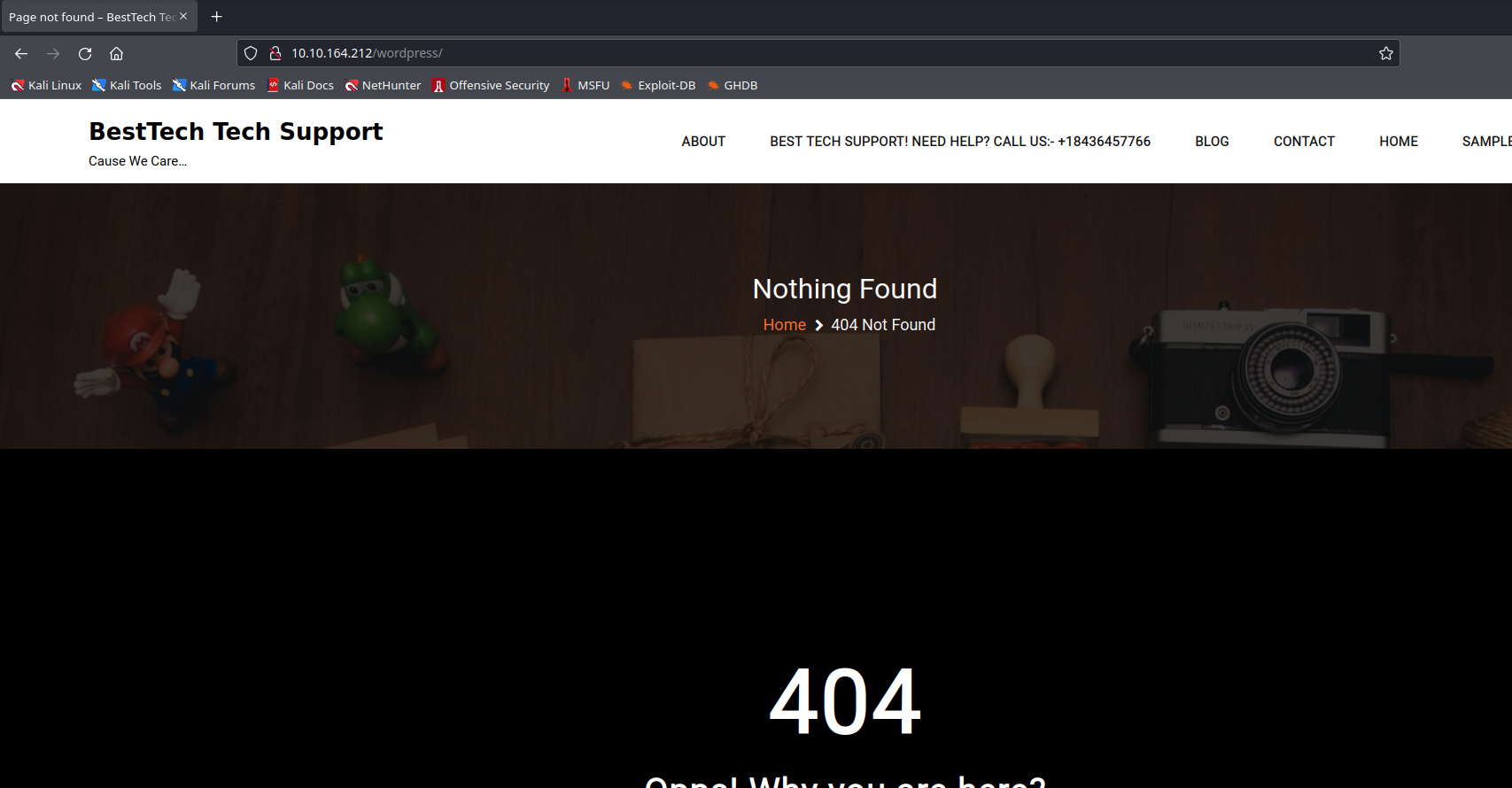 wordpress 404